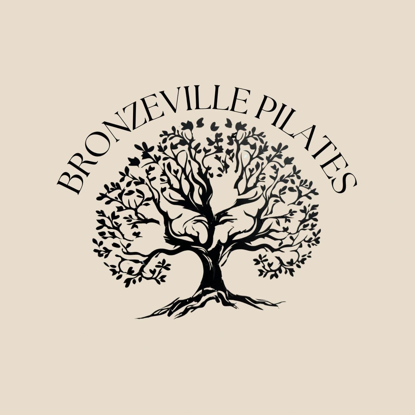 Bronzeville Pilates